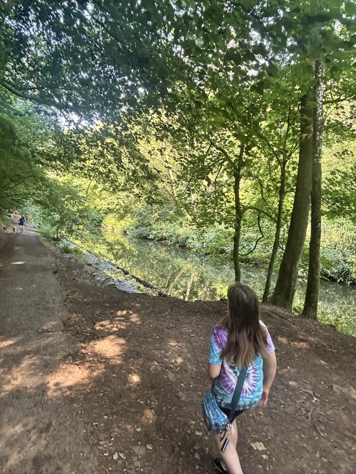 Mentoring woodland walk